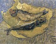 herrings